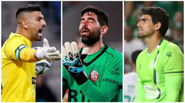 תמונה מפוצלת לבקוביץ', לויטה, הרוש (צילום: מערכת וואלה! NEWS, .)