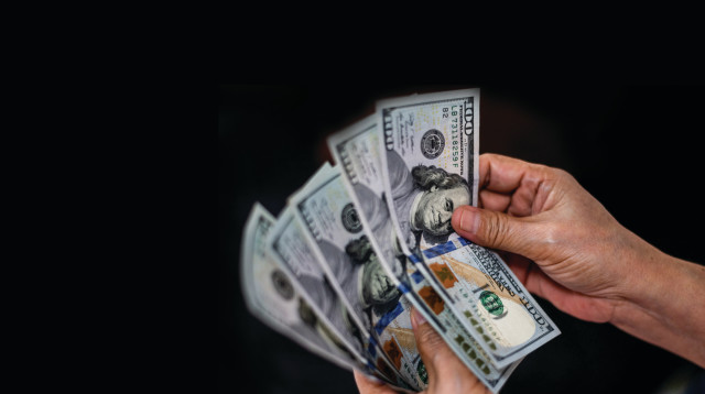 דולרים (צילום: רויטרס)