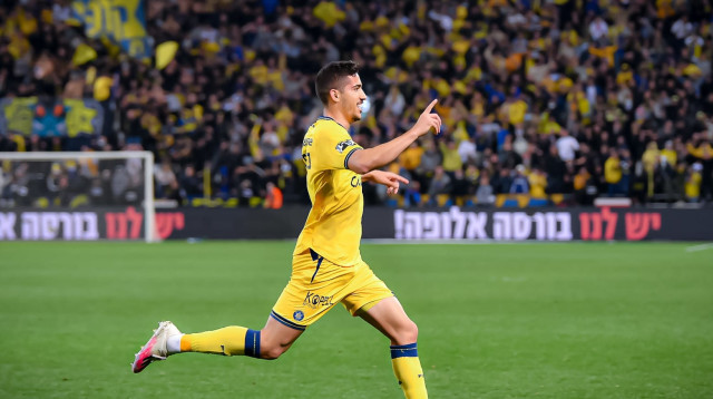  (צילום: אריאל שלום)