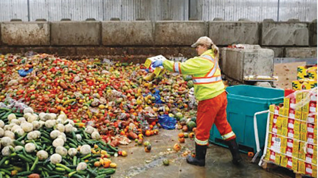 פסולת מזון  (צילום: רויטרס)