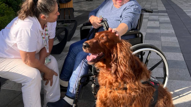 כלבנות טיפולית בבית חולים העמק (צילום: מרכז רפואי העמק)