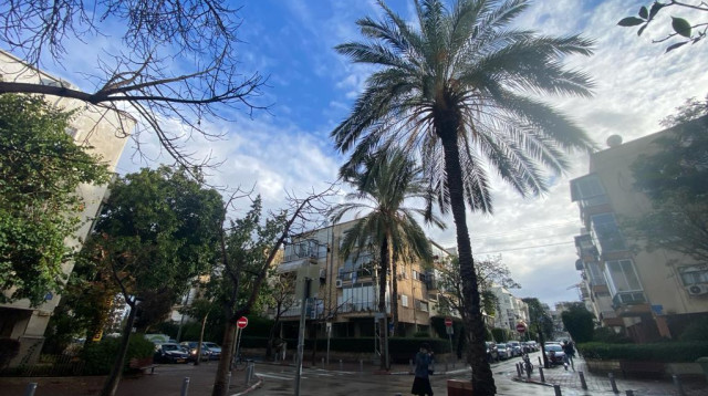גשם בתל אביב (צילום: אבשלום ששוני)