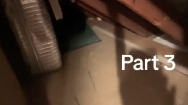 מלחיץ - זה מה שבני זוג מצאו במרתף של הבית החדש (צילום: מתוך טיקטוק)