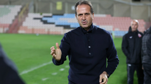 מאמן הפועל חיפה רוני לוי (צילום: לירון מולדובן)