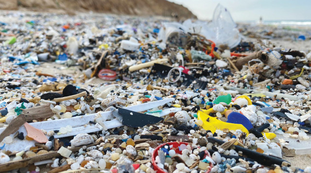 סערת גלים  (צילום: עמותת אקואושן)