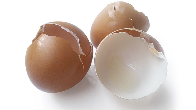 אל תזרקו את הקליפות של הביצים - יש מה לעשות איתן (צילום: אינג'אימג')