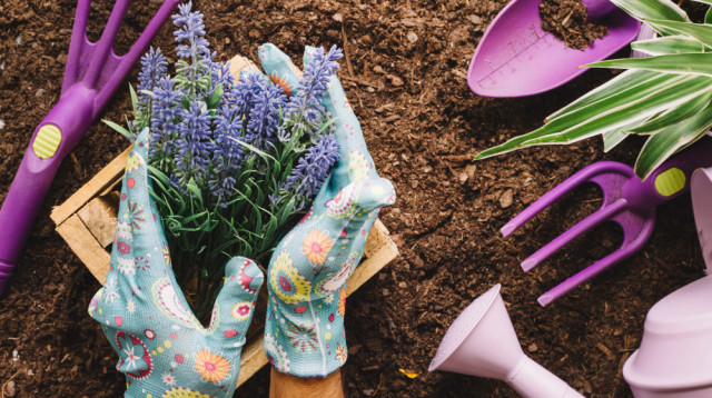 כך תהפכו את הגינה לפינה הנחשקת ביותר בביתכם (צילום: FREEPIK)