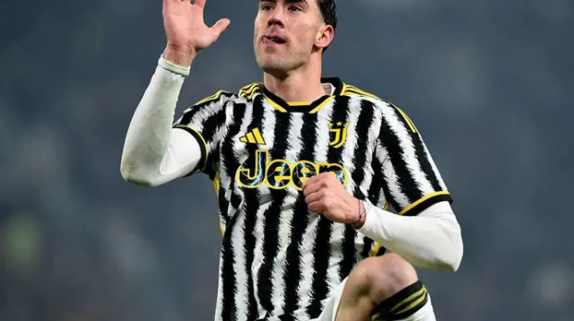 צמד יפהפה. ולאחוביץ' (צילום: רויטרס)