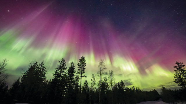 לפלנד  (צילום: רויטרס)