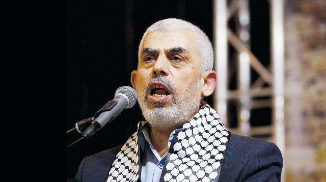 סינוואר. מבנה שיניים יחודי בעל עקמומיות ורווחים (צילום: עאבד רחים קטיב, פלאש 90)