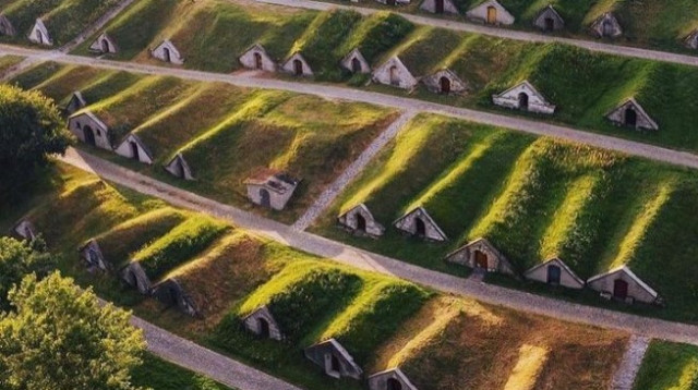 ביתני הגידול בטוקאג', הונגריה (צילום: צילום מסך אינסטגרם)