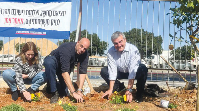 נטיעת פרחים וצמחים במכללת SCE (צילום: מכללת SCE)