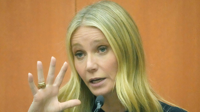 “גווינת פאלטרו נגד טרי: תאונת הסקי" (צילום: POOL.AFP via Getty Images באדיבות yes)