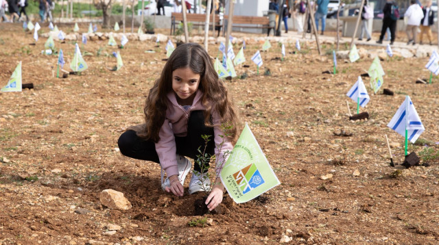 נטיעות ט"ו בשבט (צילום: יח"ץ קק"ל)