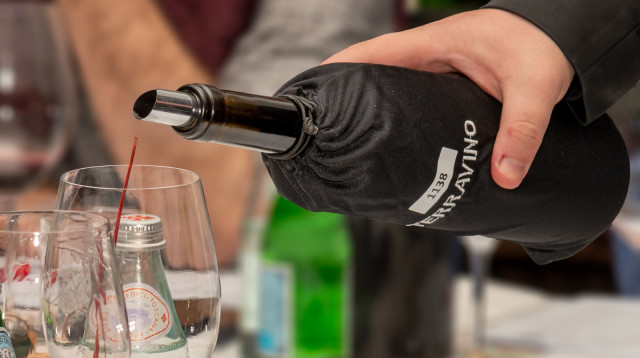 טרה וינו 2024  (צילום: אייל גוטמן)