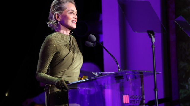 שרון סטון (צילום:  Monica Schipper \ Getty Images)