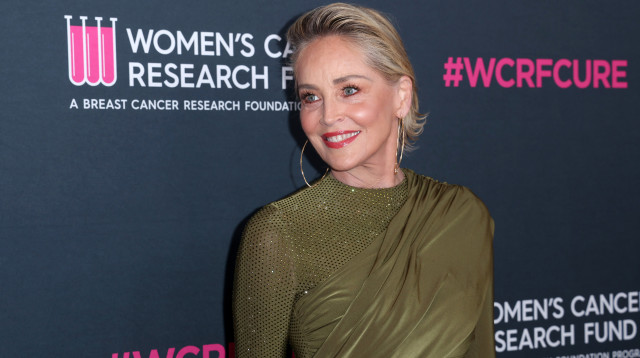 שרון סטון (צילום:  Phillip Faraone \ Getty Images)