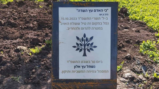 נשתל עץ אלון  (צילום: באדיבות פארק אריאל שרון)