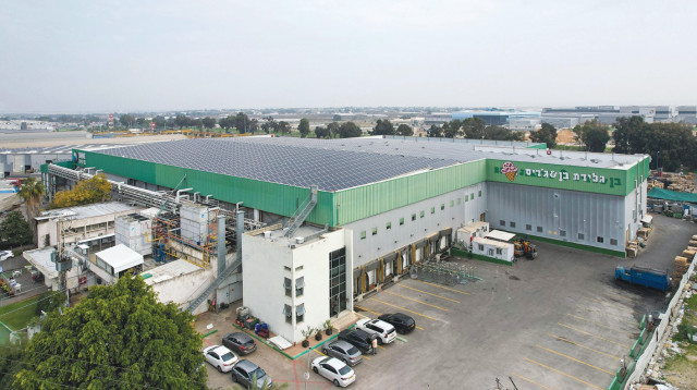 מפעל "בן אנד גריס" ישראל בבאר טוביה (צילום: אבי רוקח)