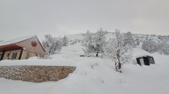 שלג בחרמון (צילום: אתר החרמון)