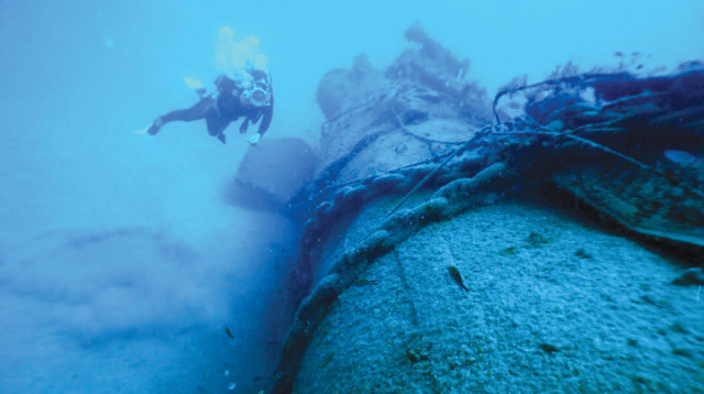 הצוללת שירה  (צילום: ד"ר אהוד גלילי)