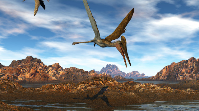 Ceoptera evansae, הדמייה (צילום: אינג'אימג')