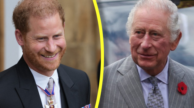 נסיך הארי, המלך צ'ארלס השלישי  (צילום:  REUTERS/Russell Cheyne,Dan Charity/Pool via REUTERS)