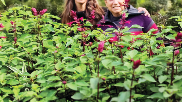 משתלת בלבן – רונית בלבן ואיילת פישהיימר (צילום: צילום פרטי)