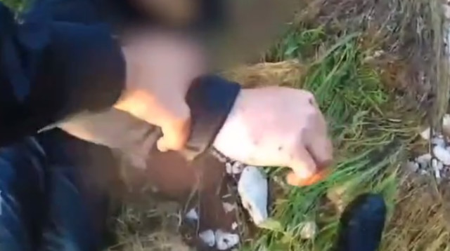 החשוד שנתפס בידי המשטרה (צילום: דוברות המשטרה)