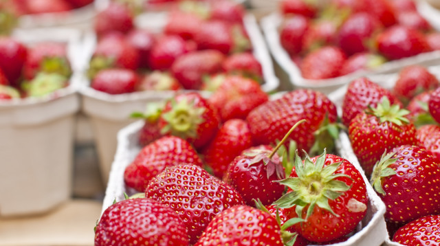 תותים (צילום: אינג'אימג')