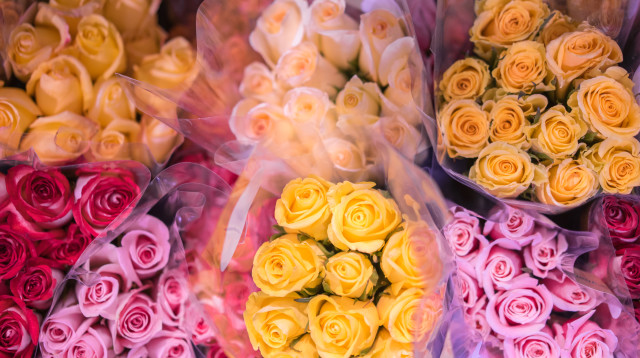 ליליות (צילום: אינג'אימג')