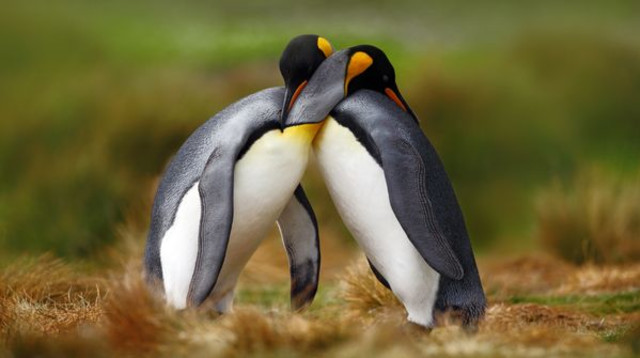 יש ריגוש, אין תוצאה - כך תימנעו מקשיים בתפקוד המיני (צילום: Shutterstock)