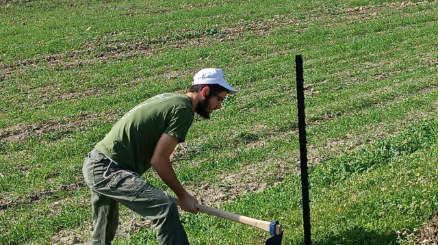הקמת השביל למען הנופלים (צילום: ללא)