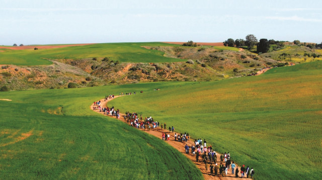 צעדת הכלניות (צילום: ג'ימי קדושים)