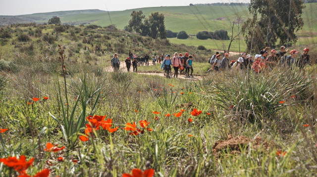 צעדת הכלניות (צילום: יקיר אסידו)