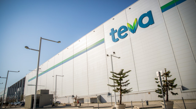 חברת טבע (צילום:  Yossi Aloni/Flash90)