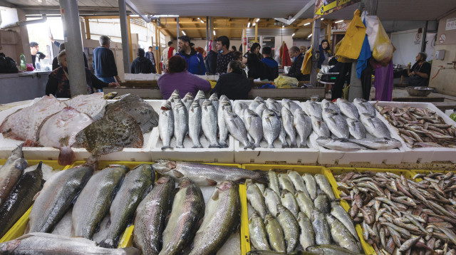משולבים בדיאטה הים תיכונית ובדיאטה האטלנטית. דגים  (צילום: נתי שוחט, פלאש 90)