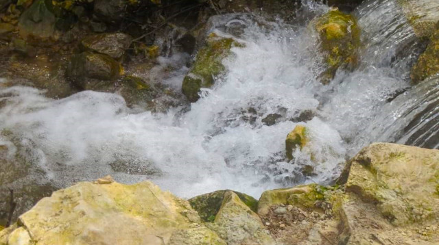 נחל ראש פינה (צילום: פיה אגמון שמרר)