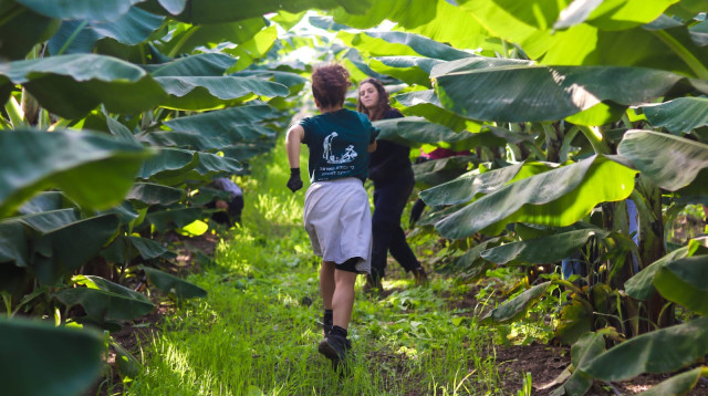 מתנדבים ב"חיבורים בחקלאות" (צילום: אודליה שטרית כהן)