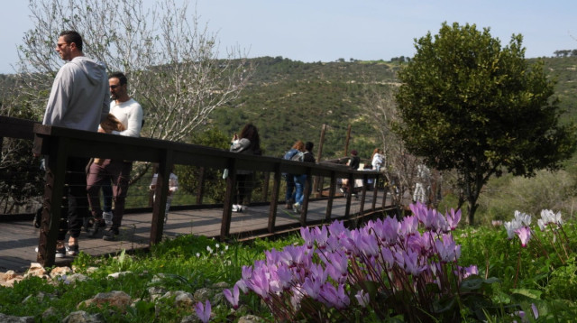 שמורת הטבע חי בר כרמל  (צילום: שרית פלאצ'י, רשות הטבע והגנים)