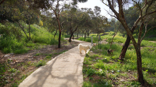 פארק האירוס (צילום: רשות מקרקעי ישראל)