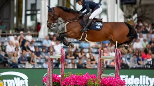  (צילום: לילי פוראדו)