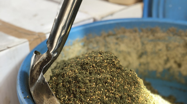 פסטיבל קרוב לבית (צילום: שירי ויצנר)