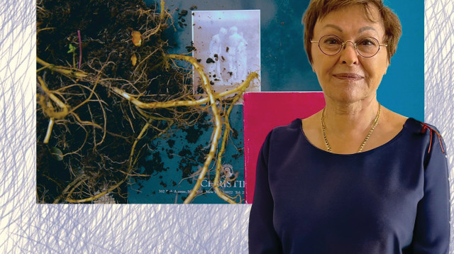 רחל רינת הייליג (צילום: חיים פינקלשטיין)