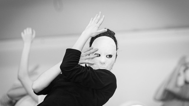 ניכוס (צילום: אסקף)