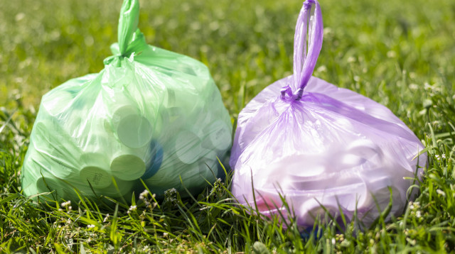 שקיות פלסטיק (צילום: ingimages.com)