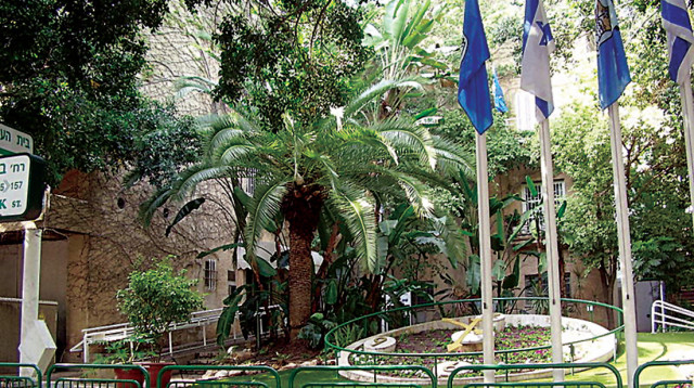 עיריית רמת גן. מתחילים לבנות קואליציה   (צילום: אבישי טייכר)