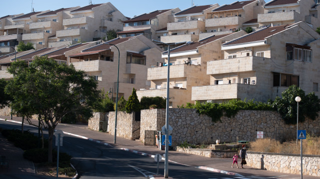 אריאל (צילום:  Sraya Diamant/Flash90)