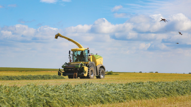 חקלאים עובדים בדרום (צילום: פלאש 90)