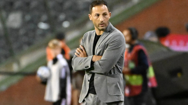 מאמן נבחרת בלגיה, דומניקו טדסקו (צילום: GettyImages, Isosport/MB Media)